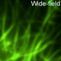 Breakthrough in the research of super-resolution fluorescent protein development