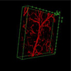 Professor Changhui Li’s group develops a novel method for ultrasonic detection