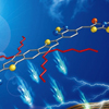 Xiaowei Zhan group makes significant progress in fused-ring electron acceptor photovoltaic materials