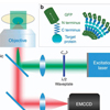 Dr. Peng Xi’s group brings a whole new dimension into super-resolution microscopy