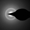 A Sr-based bulk metallic glass may become good candidate for biodegradable implant material